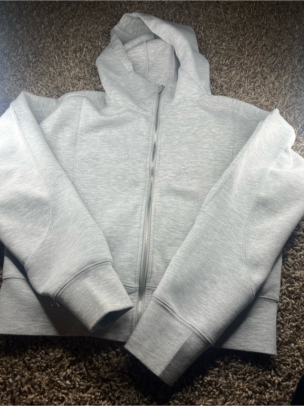 Women's Light Gray Hooded Zip Jacket